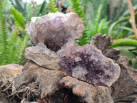 Natural Zululand Amethyst Geodes x 12 from Jozini, South Africa