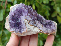 Natural Zululand Amethyst Geodes x 12 from Jozini, South Africa