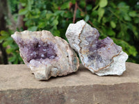 Natural Zululand Amethyst Geodes x 12 from Jozini, South Africa