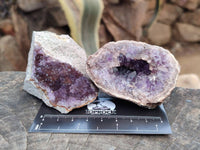 Natural Zululand Amethyst Geodes x 12 from Jozini, South Africa