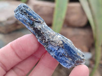 Natural Kyanite Crystals x 2.99 Kg Lot From Karoi, Zimbabwe