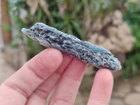 Natural Kyanite Crystals x 2.99 Kg Lot From Karoi, Zimbabwe