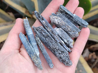 Natural Kyanite Crystals x 2.99 Kg Lot From Karoi, Zimbabwe