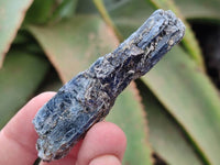 Natural Kyanite Crystals x 2.99 Kg Lot From Karoi, Zimbabwe