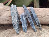 Natural Kyanite Crystals x 2.99 Kg Lot From Karoi, Zimbabwe