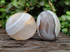 Polished Banded Agate Galets x 12 From Madagascar - Toprock Gemstones and Minerals 