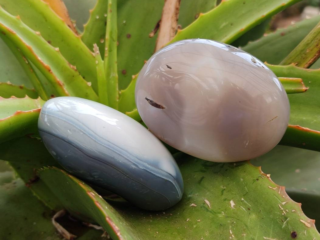Polished Banded Agate Galets x 12 From Madagascar - Toprock Gemstones and Minerals 