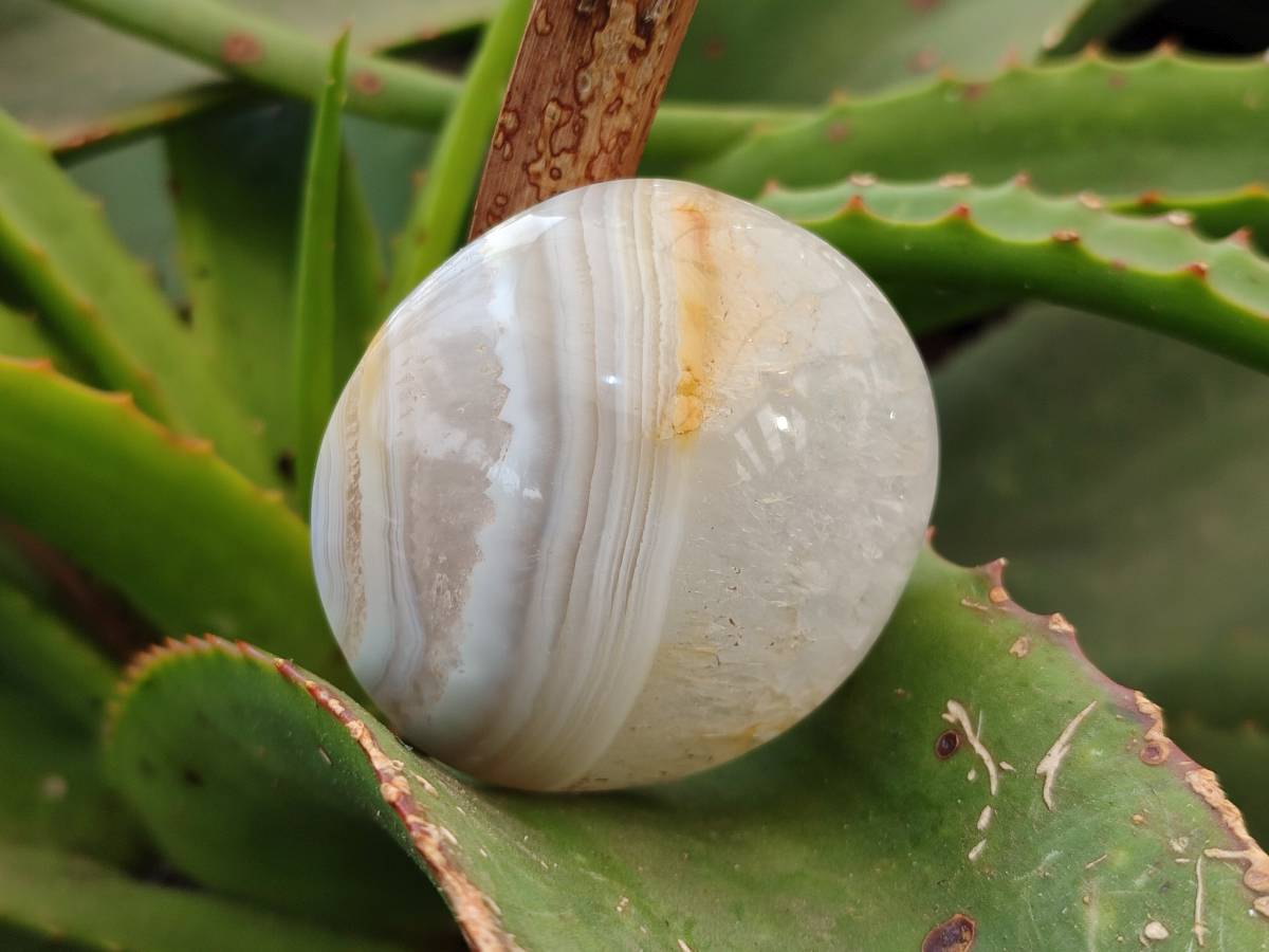 Polished Banded Agate Galets x 12 From Madagascar - Toprock Gemstones and Minerals 