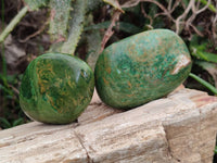 Polished Large Verdite Palm Stones x 12 From Zimbabwe