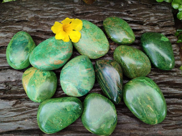 Polished Large Verdite Palm Stones x 12 From Zimbabwe