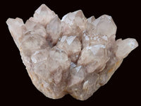 Natural Smokey Phantom Quartz Clusters x 2 From Luena, Congo