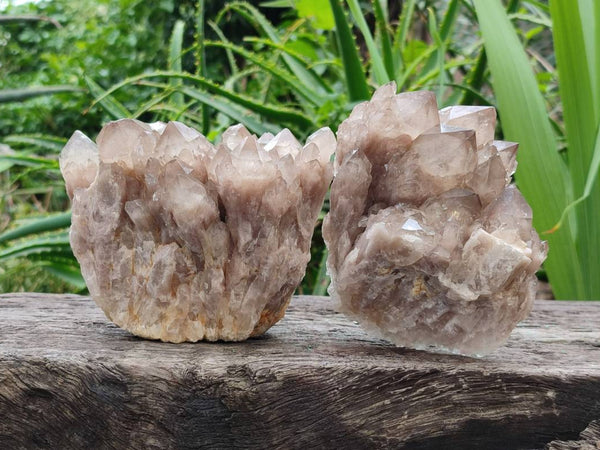 Natural Smokey Phantom Quartz Clusters x 2 From Luena, Congo