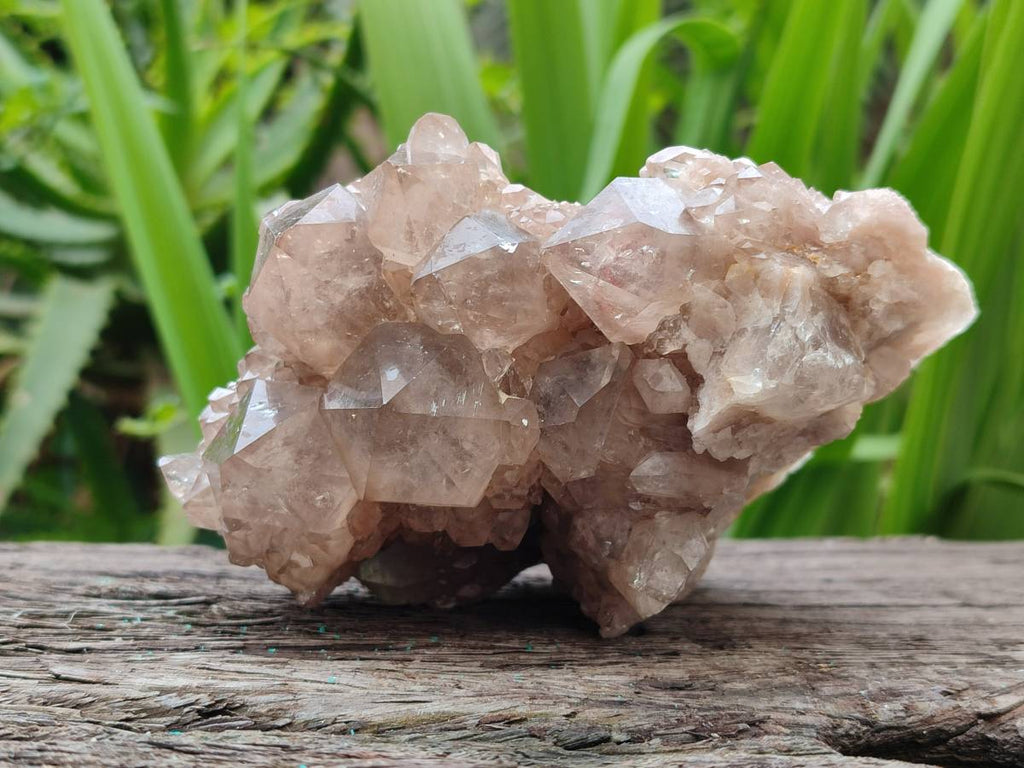 Natural Smokey Phantom Quartz Clusters x 2 From Luena, Congo - Toprock Gemstones and Minerals 