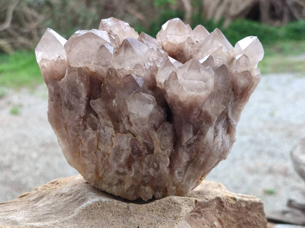 Natural Smokey Phantom Quartz Clusters x 2 From Luena, Congo - Toprock Gemstones and Minerals 