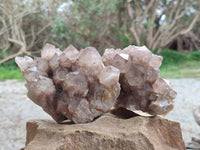 Natural Smokey Phantom Quartz Clusters x 2 From Luena, Congo