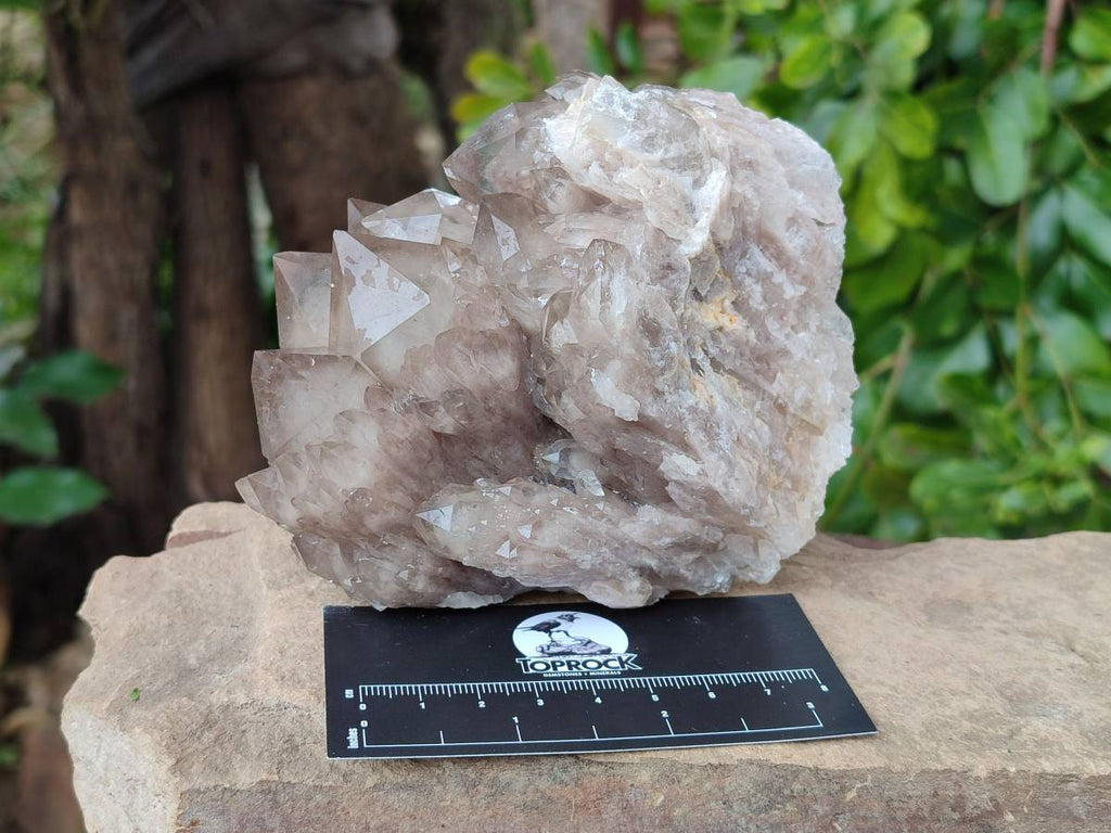 Natural Smokey Phantom Quartz Clusters x 2 From Luena, Congo - Toprock Gemstones and Minerals 