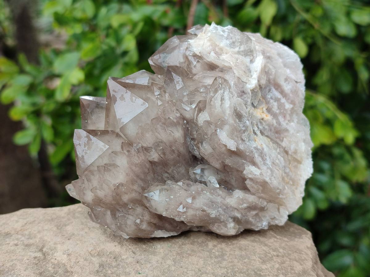 Natural Smokey Phantom Quartz Clusters x 2 From Luena, Congo - Toprock Gemstones and Minerals 