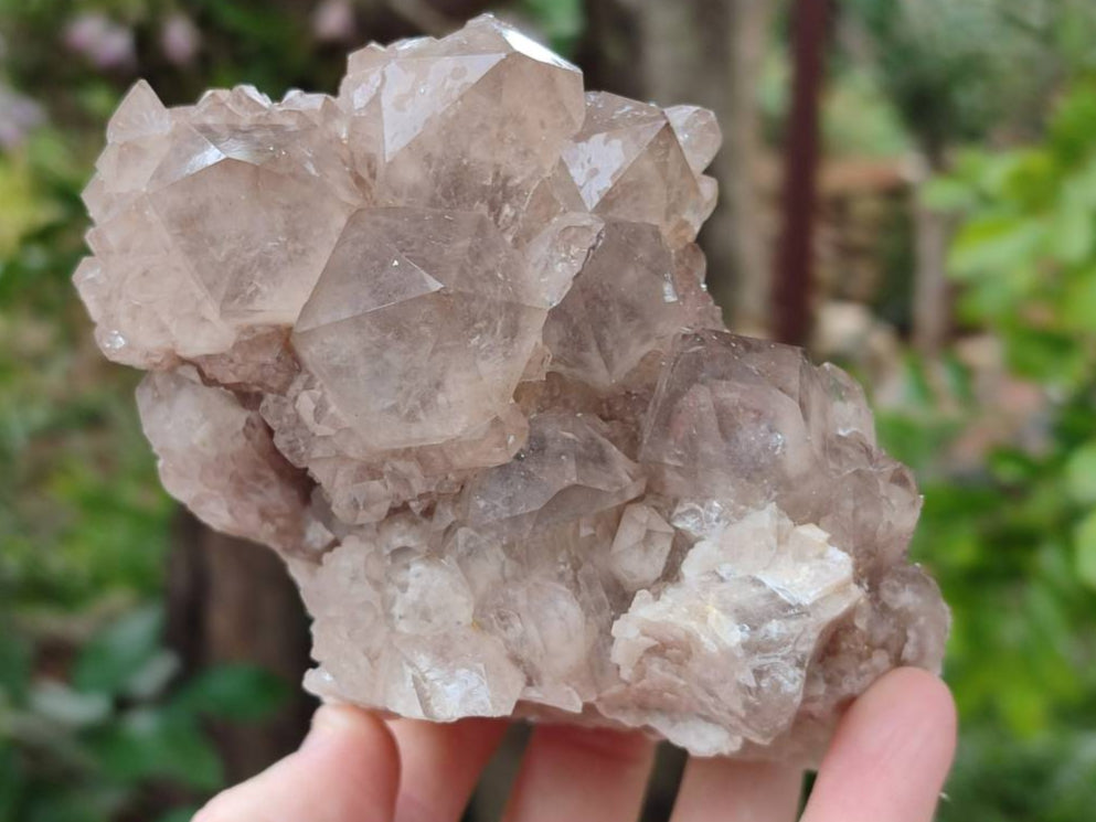 Natural Smokey Phantom Quartz Clusters x 2 From Luena, Congo - Toprock Gemstones and Minerals 
