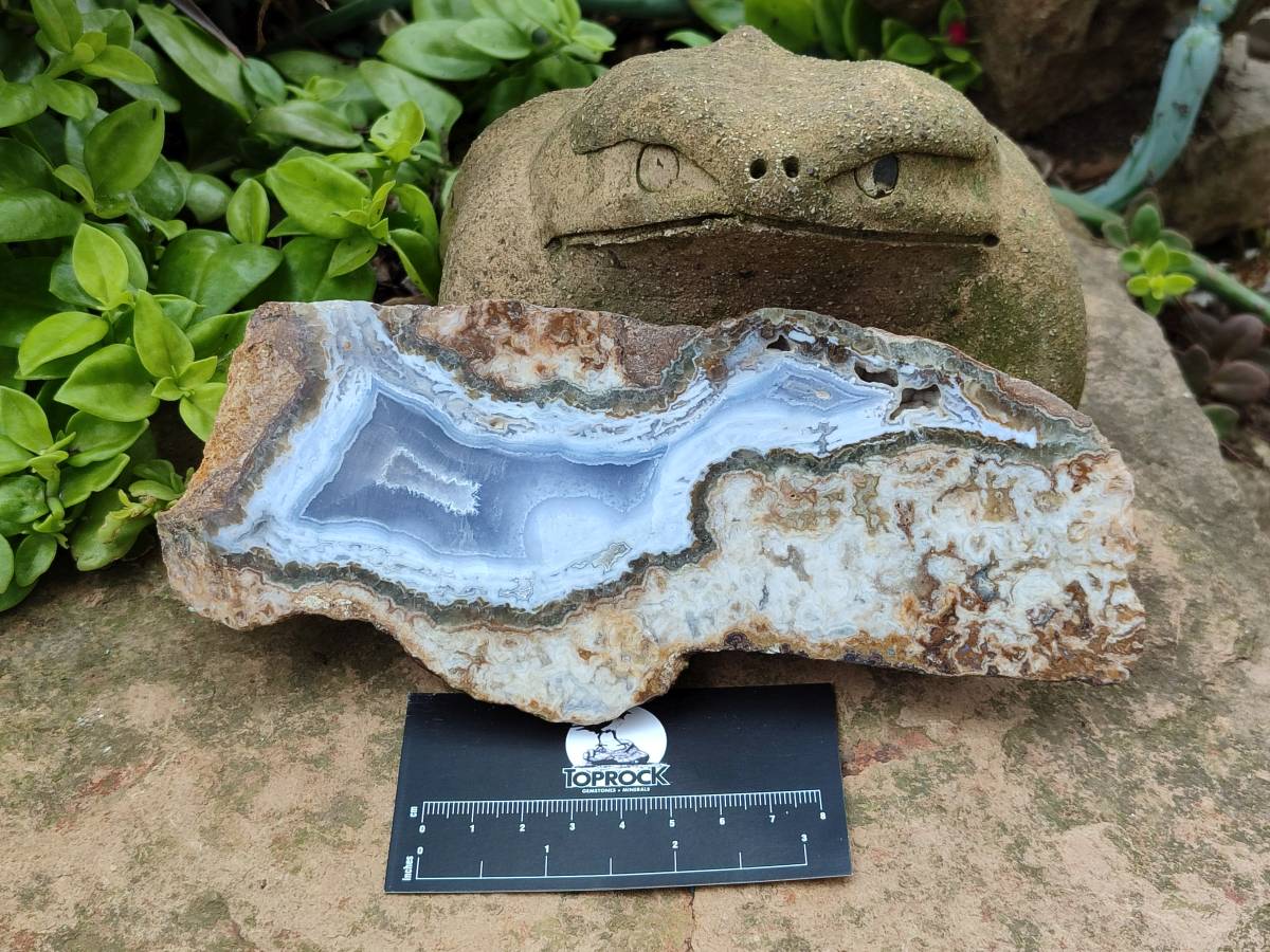 Polished On One Side Blue Lace Agate with Crazy Lace Slices X 3 From Namibia - Toprock Gemstones and Minerals 