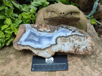 Polished On One Side Blue Lace Agate with Crazy Lace Slices X 3 From Namibia
