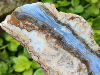 Polished On One Side Blue Lace Agate with Crazy Lace Slices X 3 From Namibia