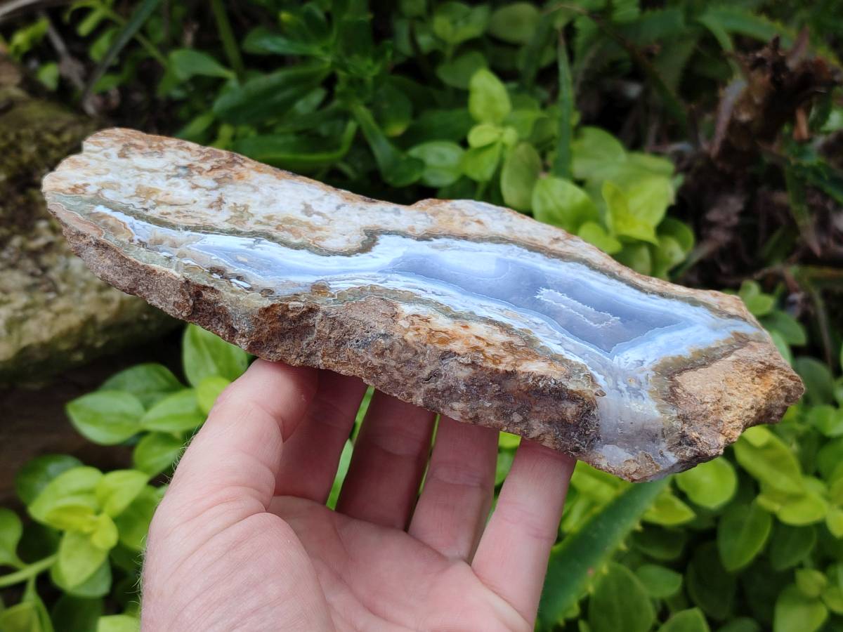 Polished On One Side Blue Lace Agate with Crazy Lace Slices X 3 From Namibia - Toprock Gemstones and Minerals 
