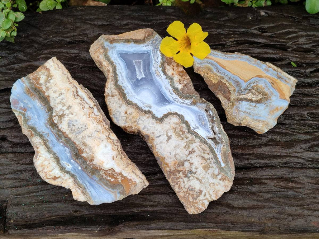 Polished On One Side Blue Lace Agate with Crazy Lace Slices X 3 From Namibia - Toprock Gemstones and Minerals 
