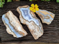 Polished On One Side Blue Lace Agate with Crazy Lace Slices X 3 From Namibia