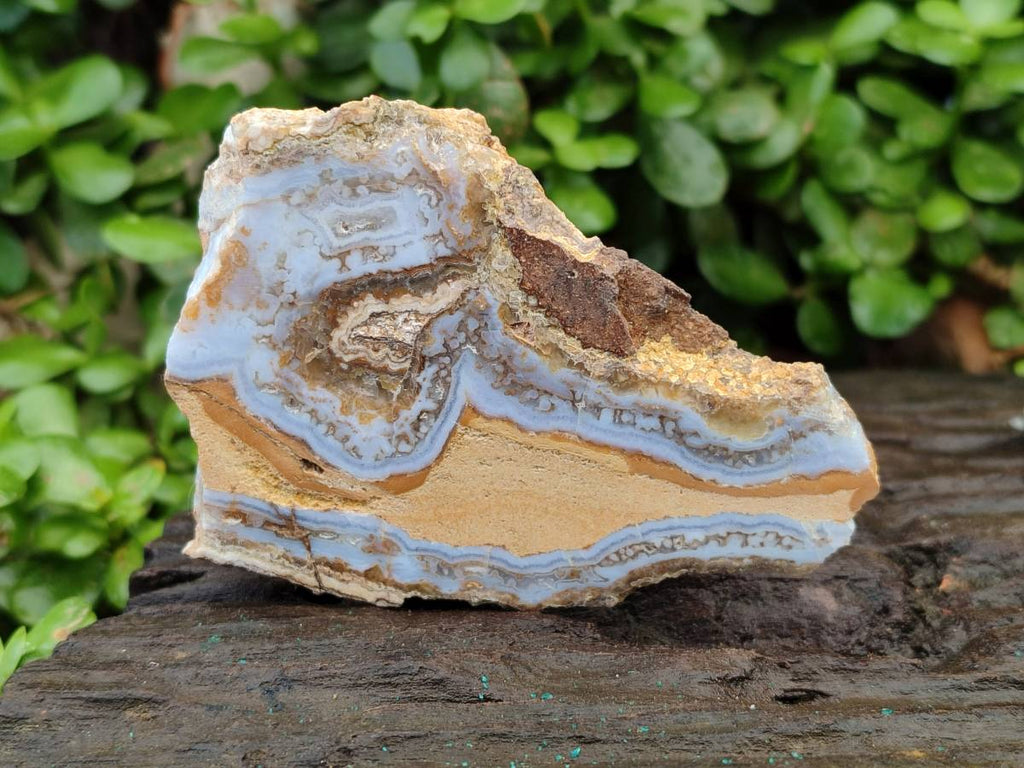 Polished On One Side Blue Lace Agate with Crazy Lace Slices X 3 From Namibia - Toprock Gemstones and Minerals 