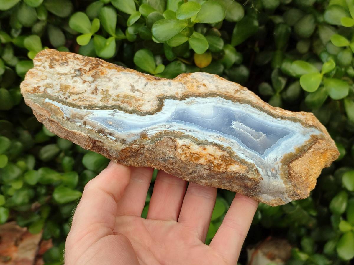 Polished On One Side Blue Lace Agate with Crazy Lace Slices X 3 From Namibia - Toprock Gemstones and Minerals 