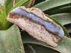 Polished On One Side Blue Lace Agate with Crazy Lace Slices X 3 From Namibia - Toprock Gemstones and Minerals 