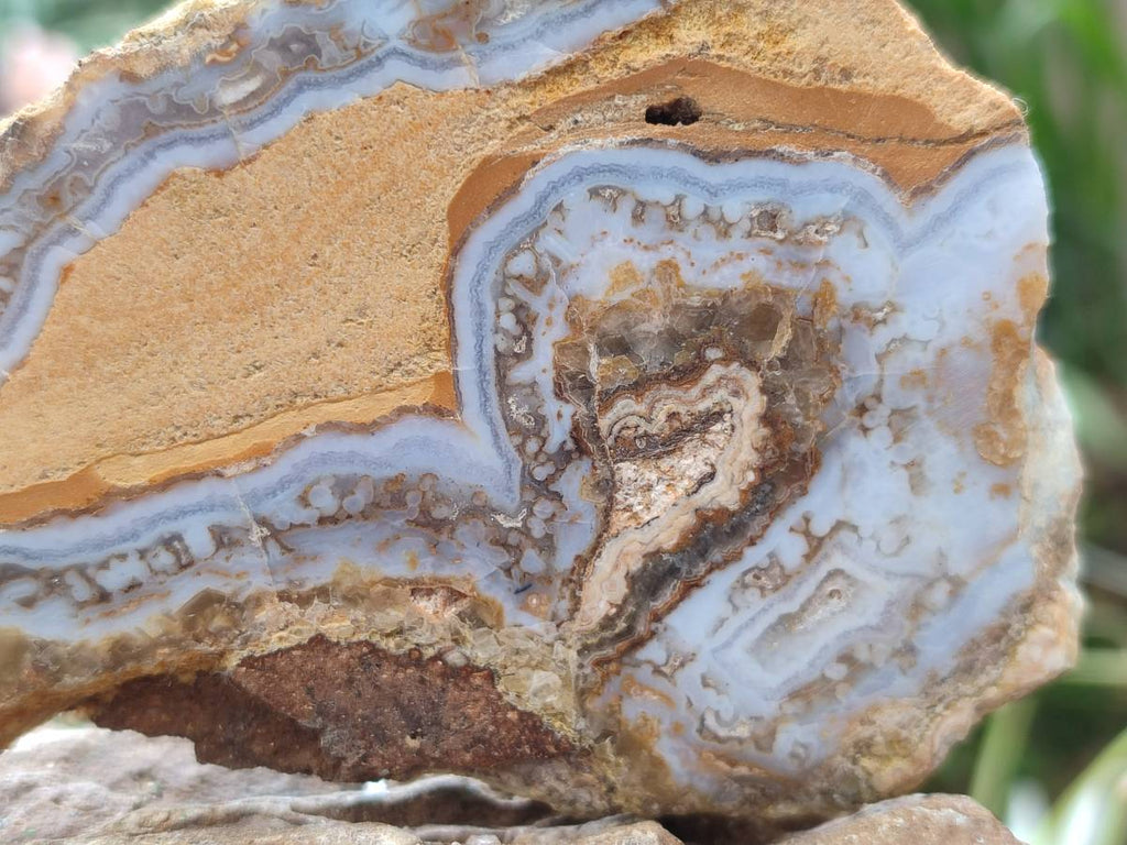 Polished On One Side Blue Lace Agate with Crazy Lace Slices X 3 From Namibia - Toprock Gemstones and Minerals 