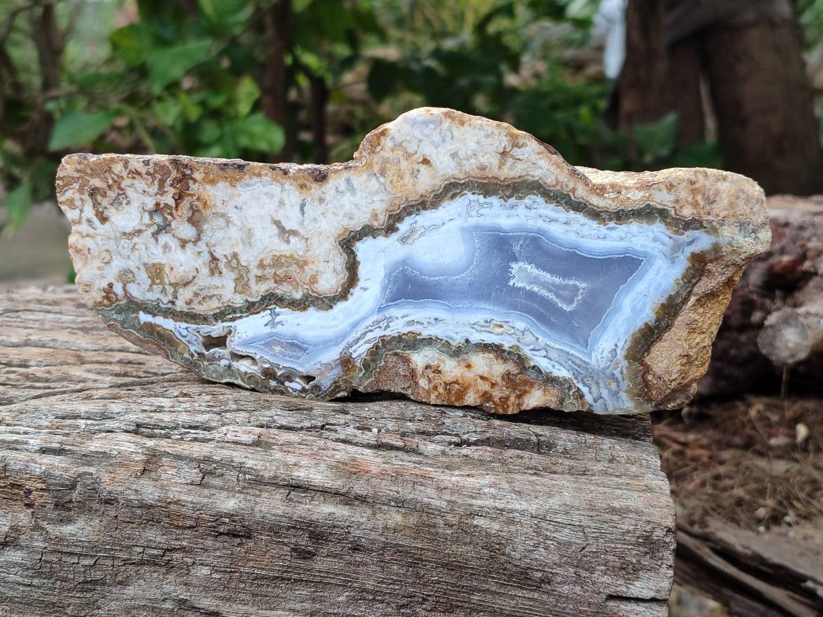 Polished On One Side Blue Lace Agate with Crazy Lace Slices X 3 From Namibia - Toprock Gemstones and Minerals 