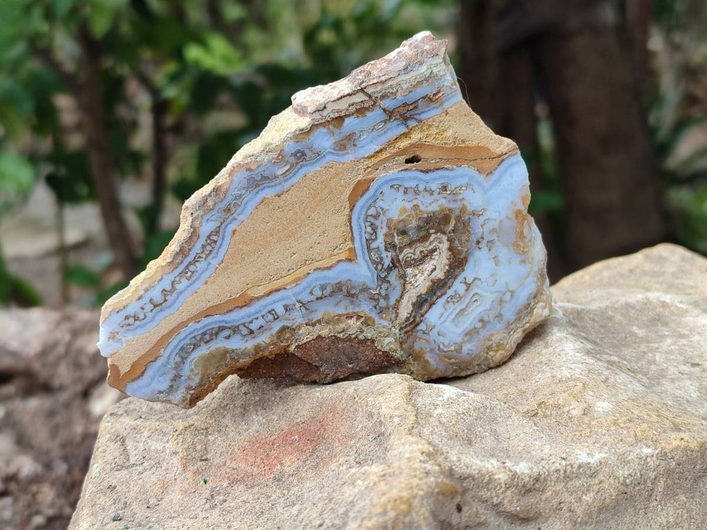 Polished On One Side Blue Lace Agate with Crazy Lace Slices X 3 From Namibia - Toprock Gemstones and Minerals 