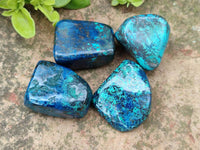Polished Shattuckite Free Forms x 20 From Congo