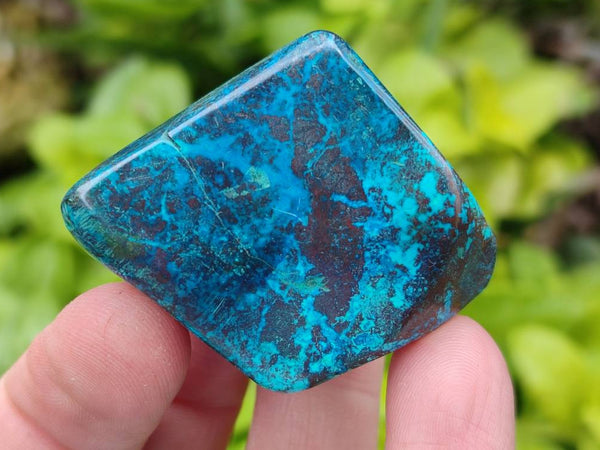 Polished Shattuckite Free Forms x 20 From Congo