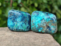 Polished Shattuckite Free Forms x 20 From Congo