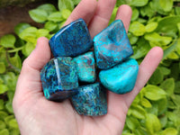 Polished Shattuckite Free Forms x 20 From Congo