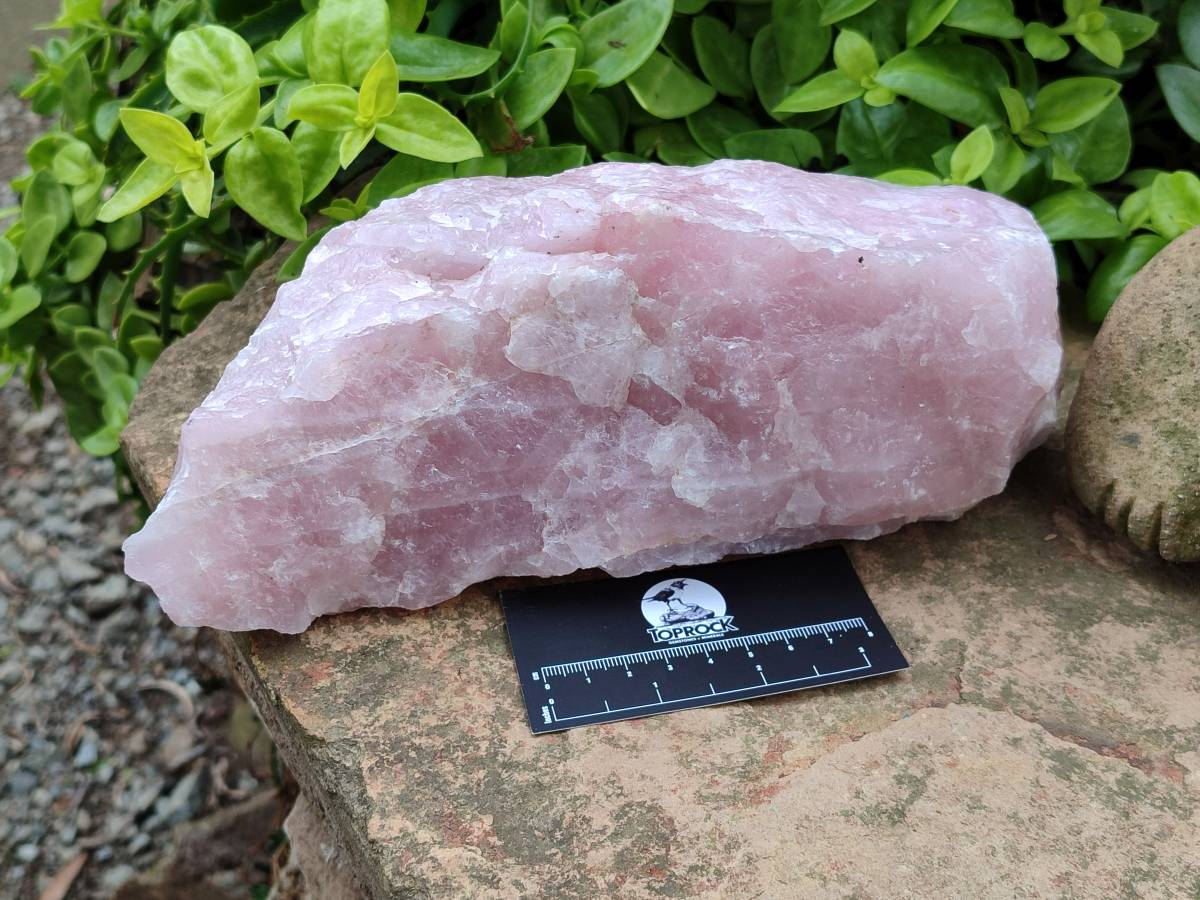 Natural Cobbed Rose Quartz Specimens x 4 From Northern Cape, South Africa - Toprock Gemstones and Minerals 