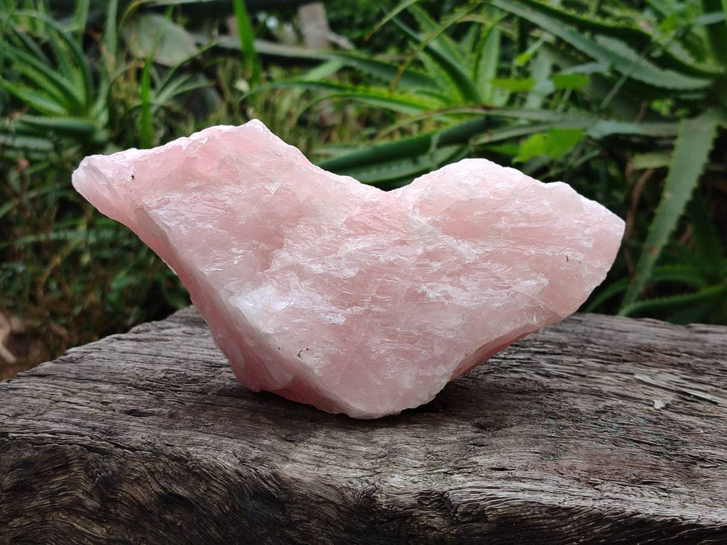 Natural Cobbed Rose Quartz Specimens x 4 From Northern Cape, South Africa - Toprock Gemstones and Minerals 