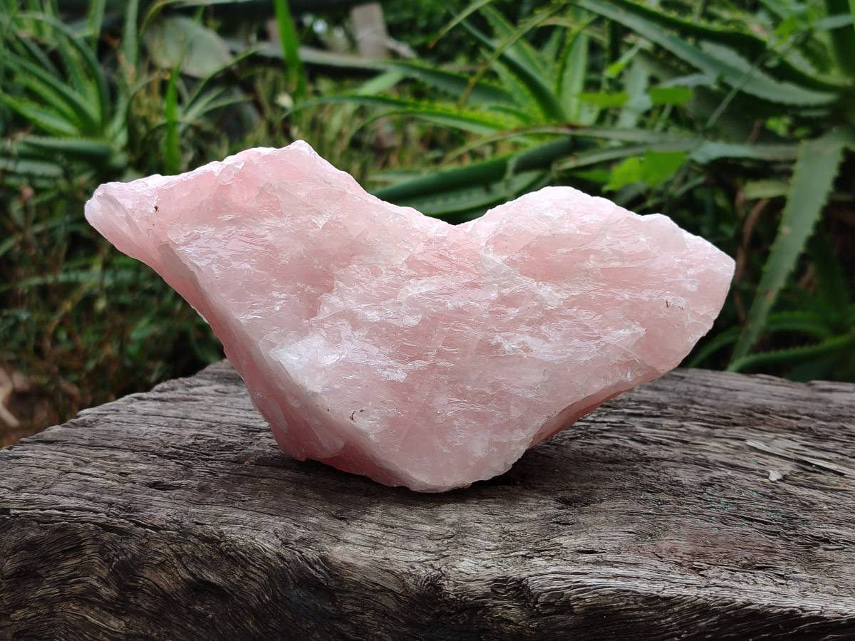 Natural Cobbed Rose Quartz Specimens x 4 From Northern Cape, South Africa - Toprock Gemstones and Minerals 
