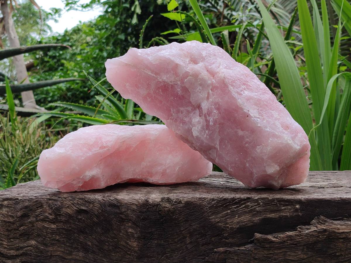 Natural Cobbed Rose Quartz Specimens x 4 From Northern Cape, South Africa - Toprock Gemstones and Minerals 