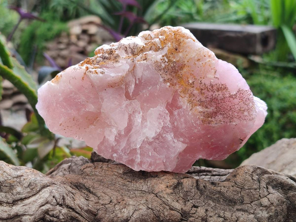 Natural Cobbed Rose Quartz Specimens x 4 From Northern Cape, South Africa - Toprock Gemstones and Minerals 