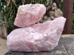Natural Cobbed Rose Quartz Specimens x 4 From Northern Cape, South Africa - Toprock Gemstones and Minerals 