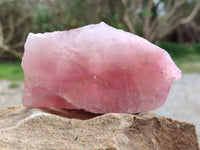 Natural Cobbed Rose Quartz Specimens x 4 From Northern Cape, South Africa