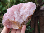 Natural Cobbed Rose Quartz Specimens x 4 From Northern Cape, South Africa - Toprock Gemstones and Minerals 