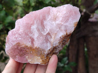 Natural Cobbed Rose Quartz Specimens x 4 From Northern Cape, South Africa