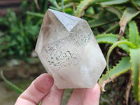 Polished Smokey Window Quartz Crystals x 2 From Madagascar