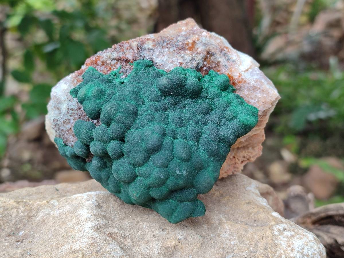 Natural Ball Malachite On Quartz Matrix Specimens x 2 From Mindingi Mine, Kambove, Congo - Toprock Gemstones and Minerals 
