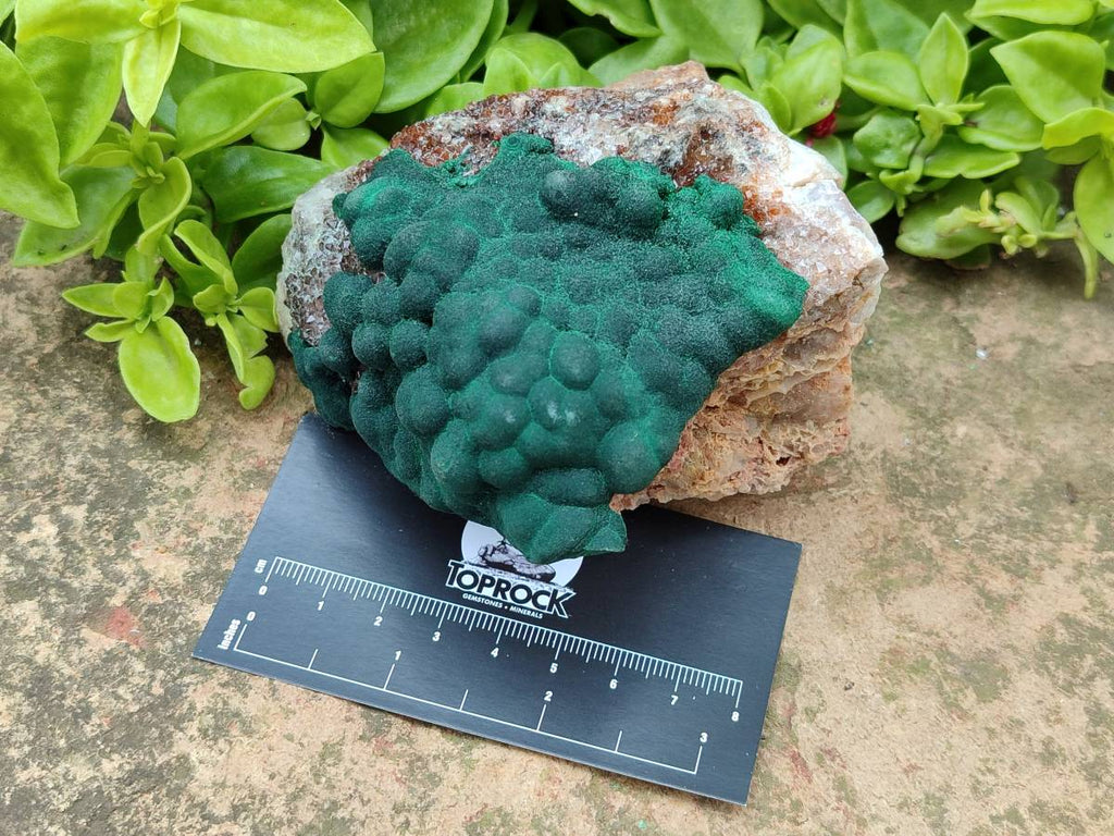 Natural Ball Malachite On Quartz Matrix Specimens x 2 From Mindingi Mine, Kambove, Congo - Toprock Gemstones and Minerals 